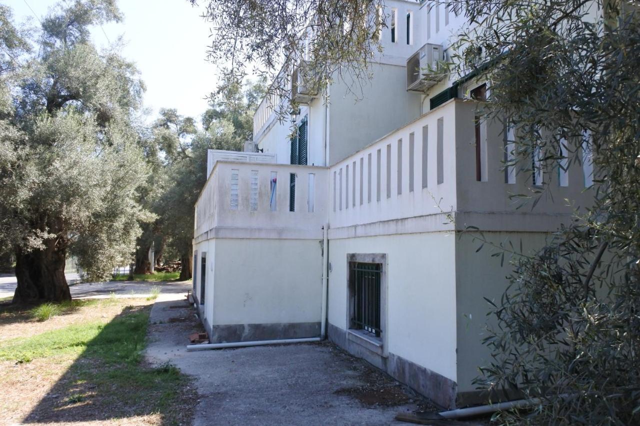 Eleon Apartman Fríni Kültér fotó